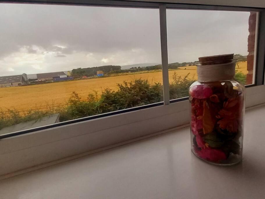 Wolds View Hideaway Scarborough